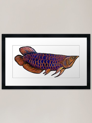 Arowana fish framed - arowana, print