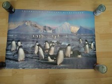 Athena Antarctica The Last wilderness Poster Art Print penguins 1992