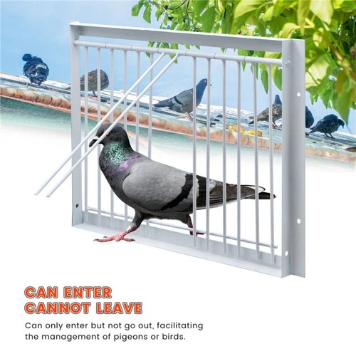 Removable trap door - door, cage