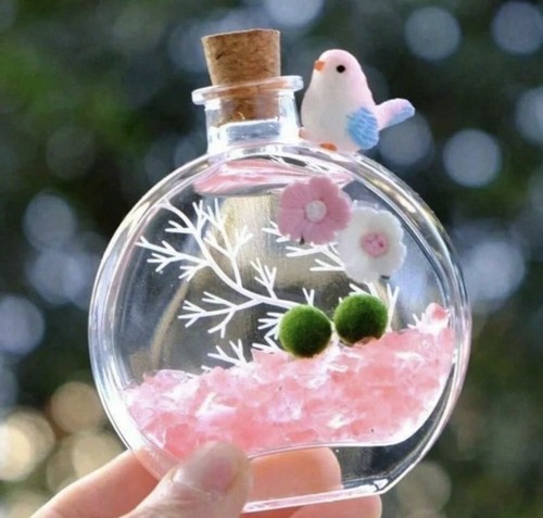Nano marimo moss - 2, x