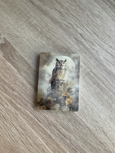 Mystical owls oracle - mystical,
