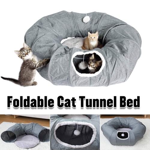 Cozy grey cat - cat, tunnel