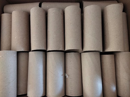 Empty used toilet rolls - used,