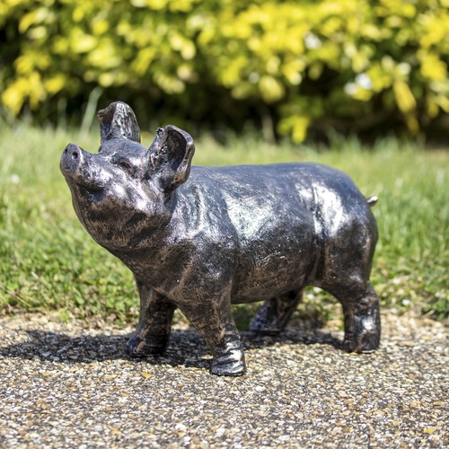Bronze curious pig garden - bronze,