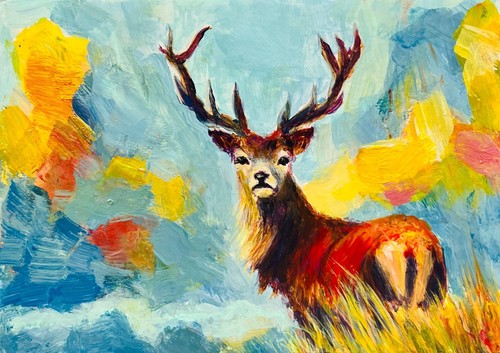 Original highland stag - highland,