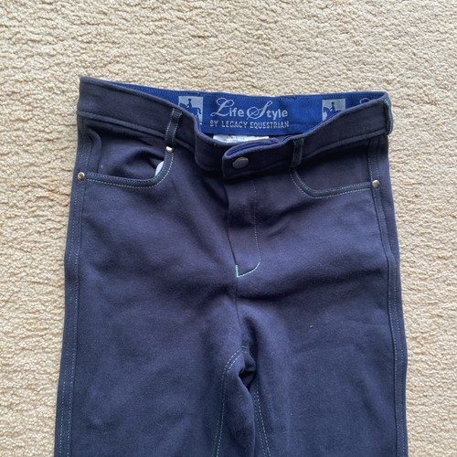 Legacy equestrian horse - equestrian,