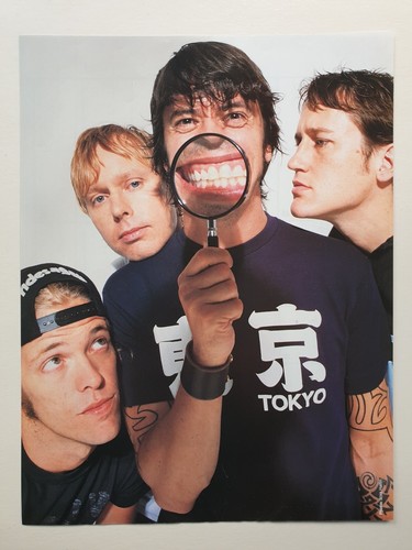 Foo fighters magnifying - fighters,