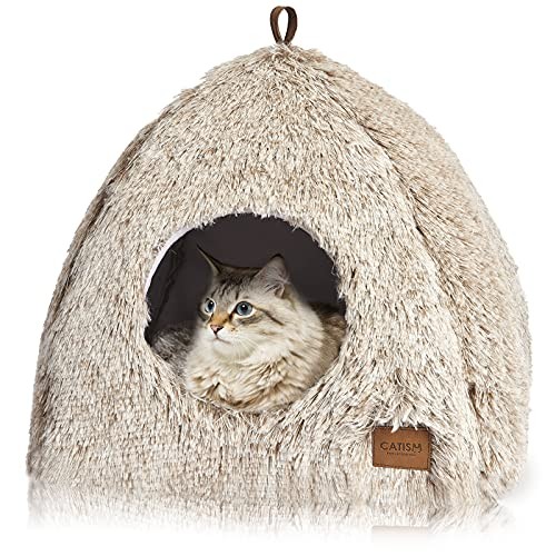 Igloo cat and - dog, large