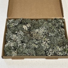 Natural Oak Moss  Lichen 30g