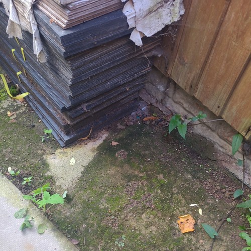 Brand new roof - new, sale