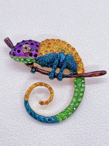 Rainbow chameleon brooch - chameleon,