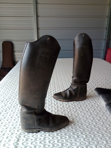 Petrie dressage boots size - petrie, 7us