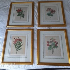 Flower Prints Wall Art In A Frame