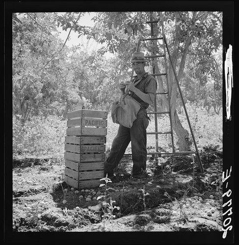 Yakima valley washington 1939 - valley,