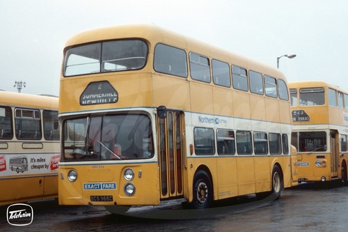 Bus photo northern - bus,