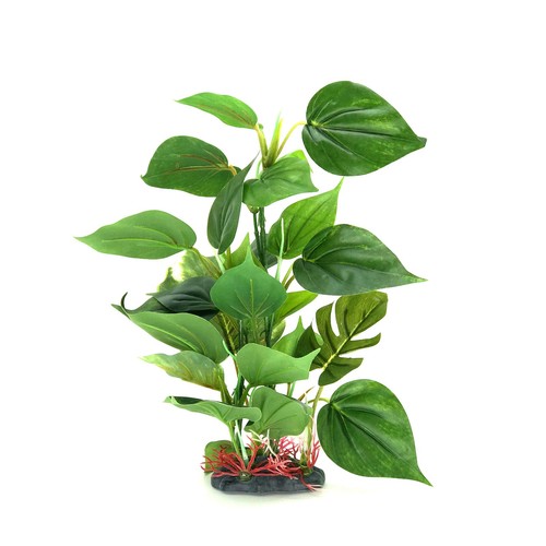 Aquarium plant real look - aquarium,