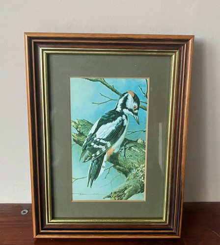 Vintage basil ede framed - ede,
