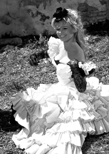 Brigitte bardot monochrome - brigitte,