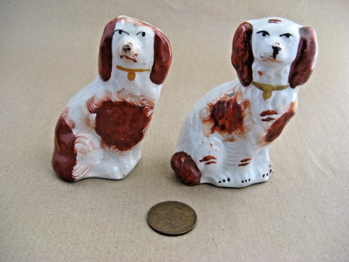 Staffordshire spaniel dogs - x, 2