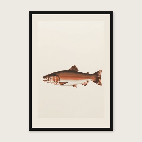 Sockeye salmon monotype style - salmon,