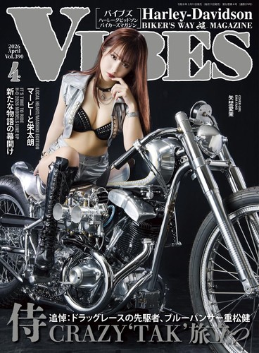 Vibes 2026 april - 2026,