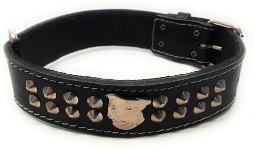 Inch wide studded - 1.5,