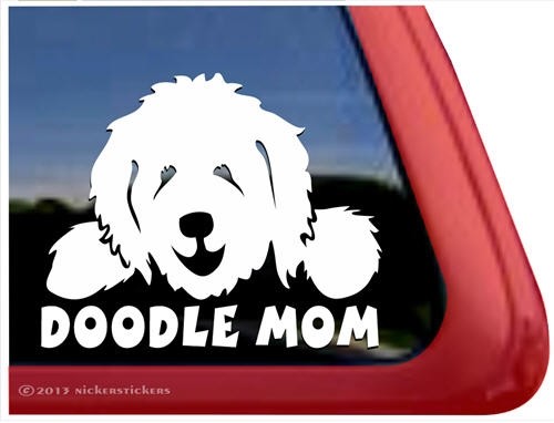 Doodle mom goldendoodle - ,