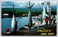 Postcard HI Day Catch Kailua
