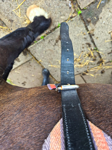 All purpose fabric horse - fabric,