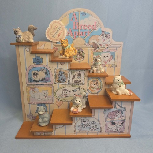 Enesco calico kittens breed - enesco,