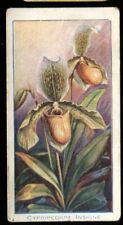 Tobacco Card, Carreras, ORCHIDS, 1925, Cypripedium Insigne, #3