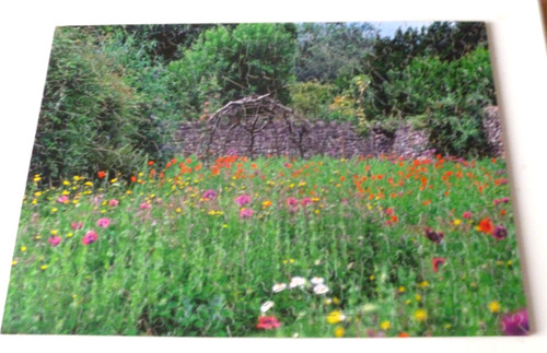 Wentworth wooden jigsaw puzzle - wentworth,