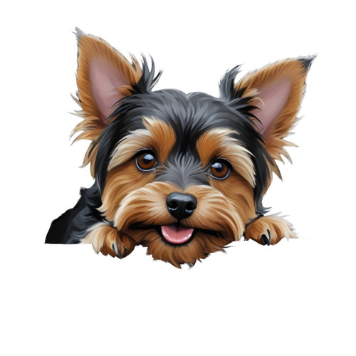 Peeping yorkie yorkshire - peeping,