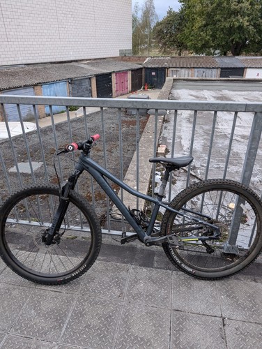 Modified specialized downhill - modified,