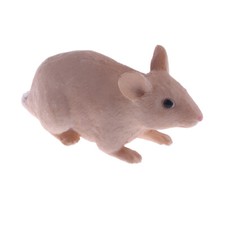 Realistic Mouse Animal Model