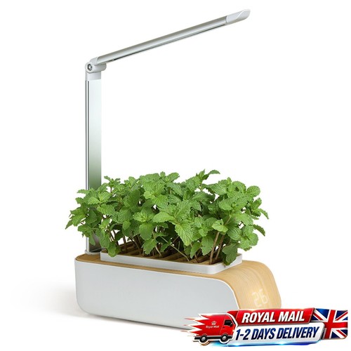 Smart indoor herb garden kit - indoor,