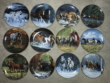 Horses For All Seasons By
