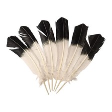Turkey Feather 10-12 inch Pack