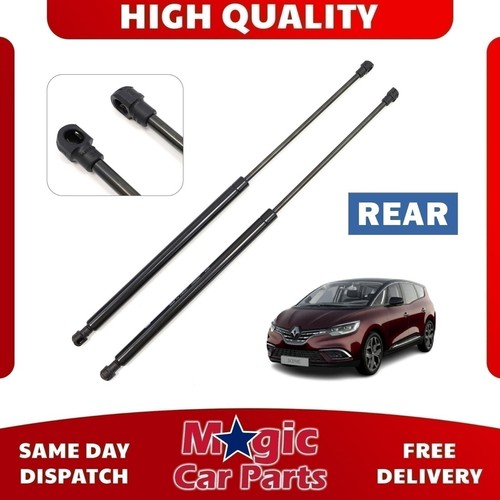 Rear tailgate gas - rear, struts