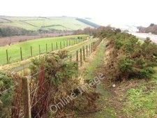 Photo 6x4 wheelchair - photo,