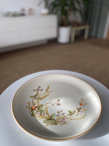 Harvest dinner plate 27cm - m&s,