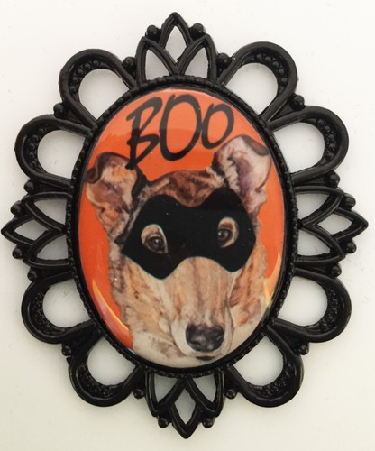 Collie smooth breed - smooth, halloween