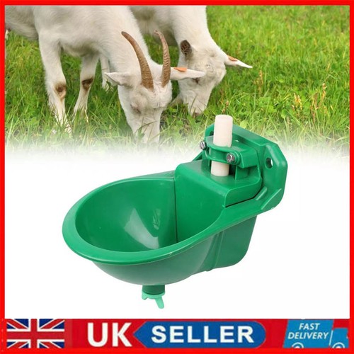 Automatic water drinker - water, bowl
