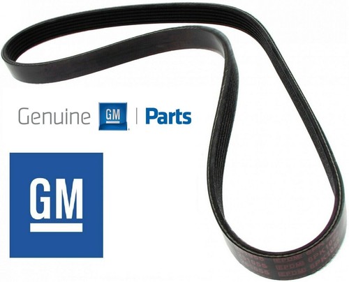 General motors drive belt - general,