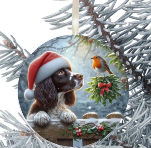 Springer spaniel hanging - spaniel,
