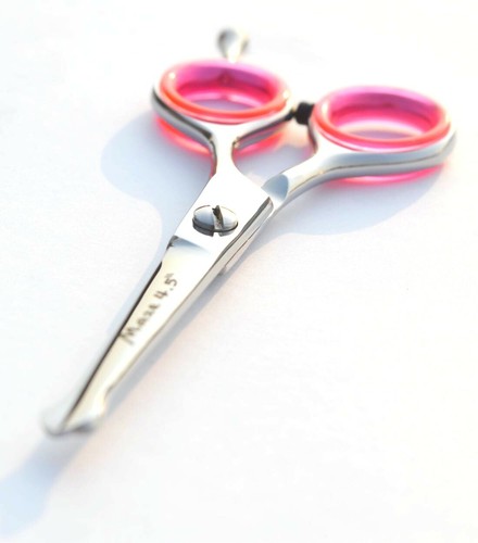 Pet grooming ears - pet, nose