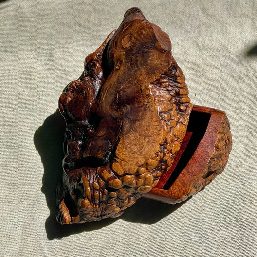Manzanita burl personality box - personality,