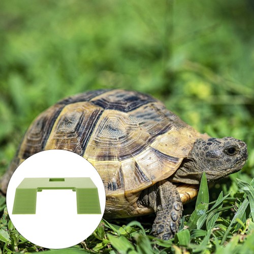 Large turtle basking platform - large,