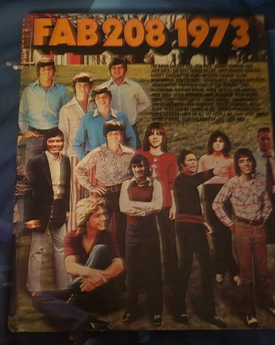 Fab 208 annual 1973 - 208,