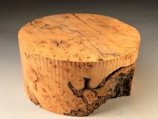 Burr Elm Wood Turning Resin